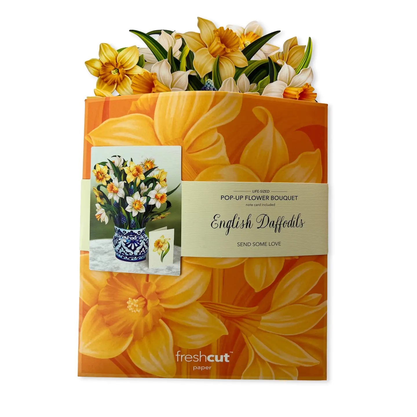 English Daffodils Pop Up Bouquet