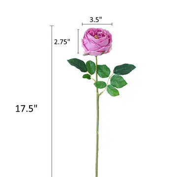 Cabbage Rose Individual Stem