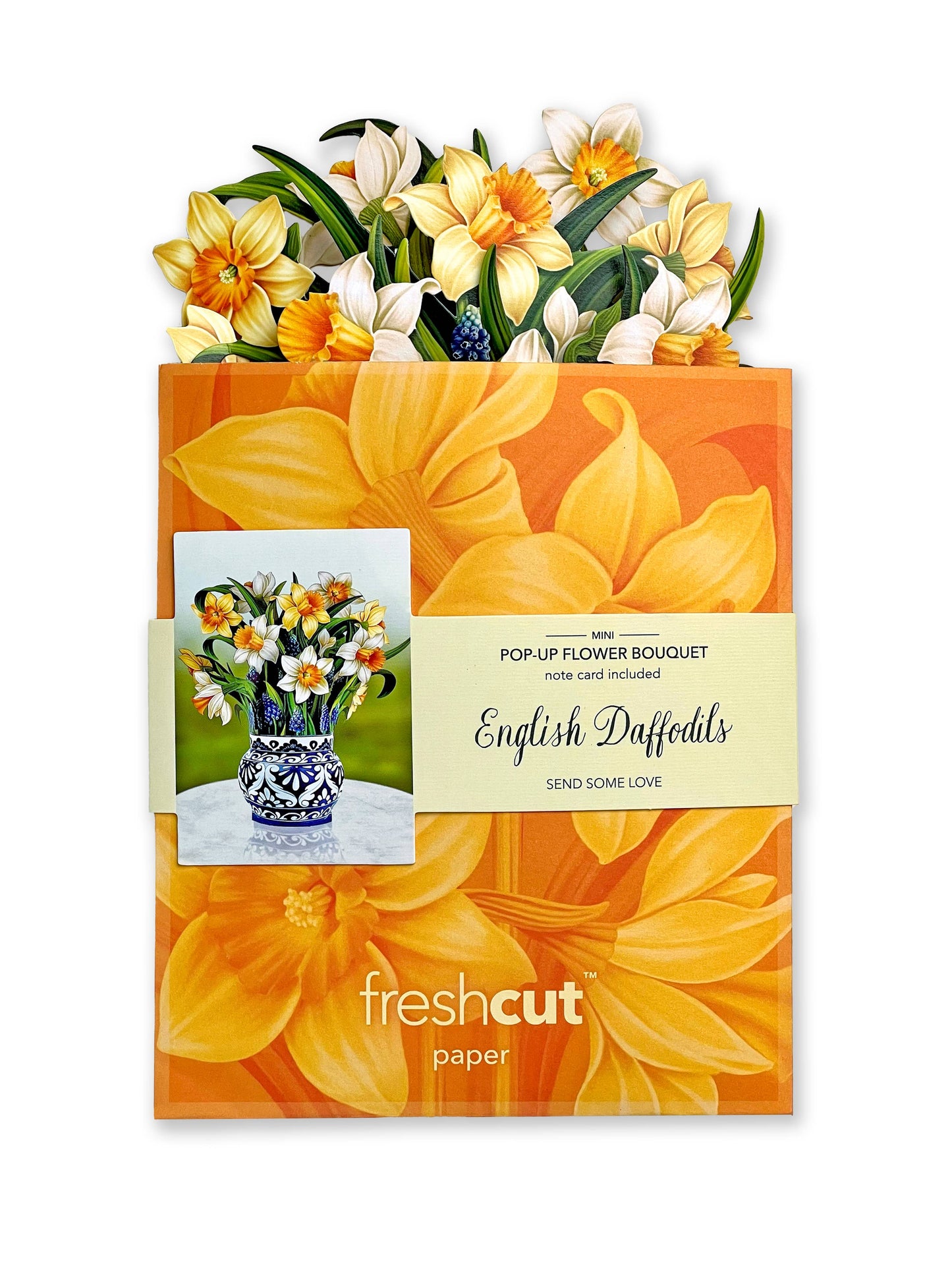 Mini English Daffodils Pop-Up Greeting Card