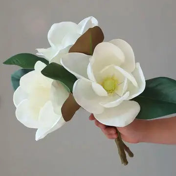 Magnolia Individual Stem