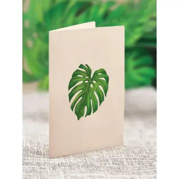 Monstera Mini Pop Up Bouquet
