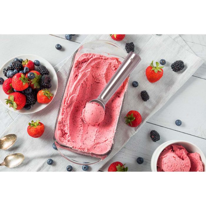 Anti-Freeze Ice Cream Scoop