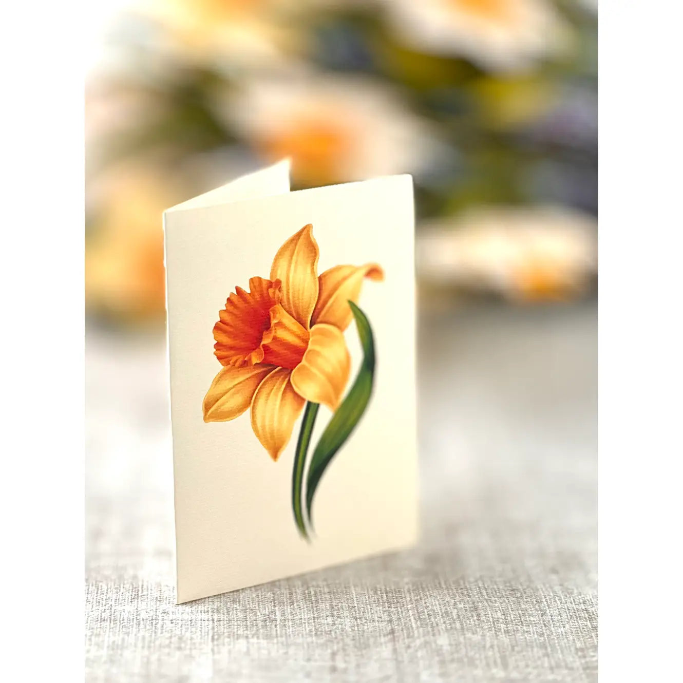English Daffodils Pop Up Bouquet