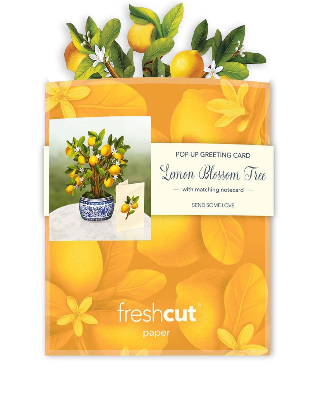 Mini Lemon Blossom Tree Pop-up Greeting Card