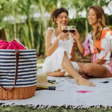 Striped Canvas & Willow Tote
