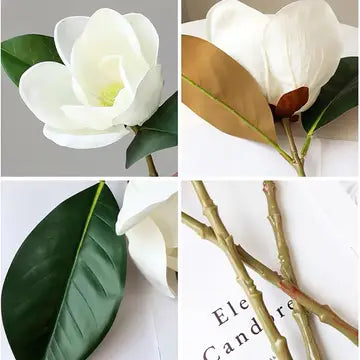 Magnolia Individual Stem