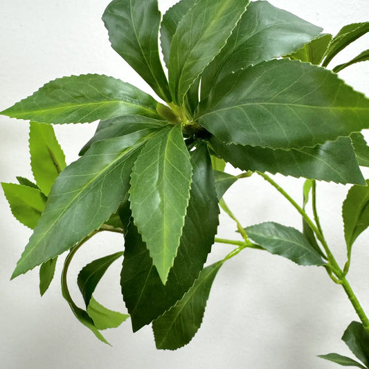 Japonica Greenery Stem