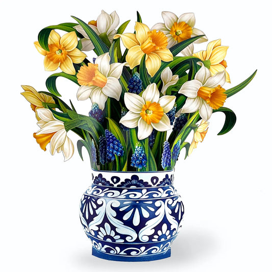English Daffodils Pop Up Bouquet