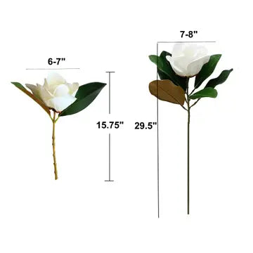 Magnolia Individual Stem