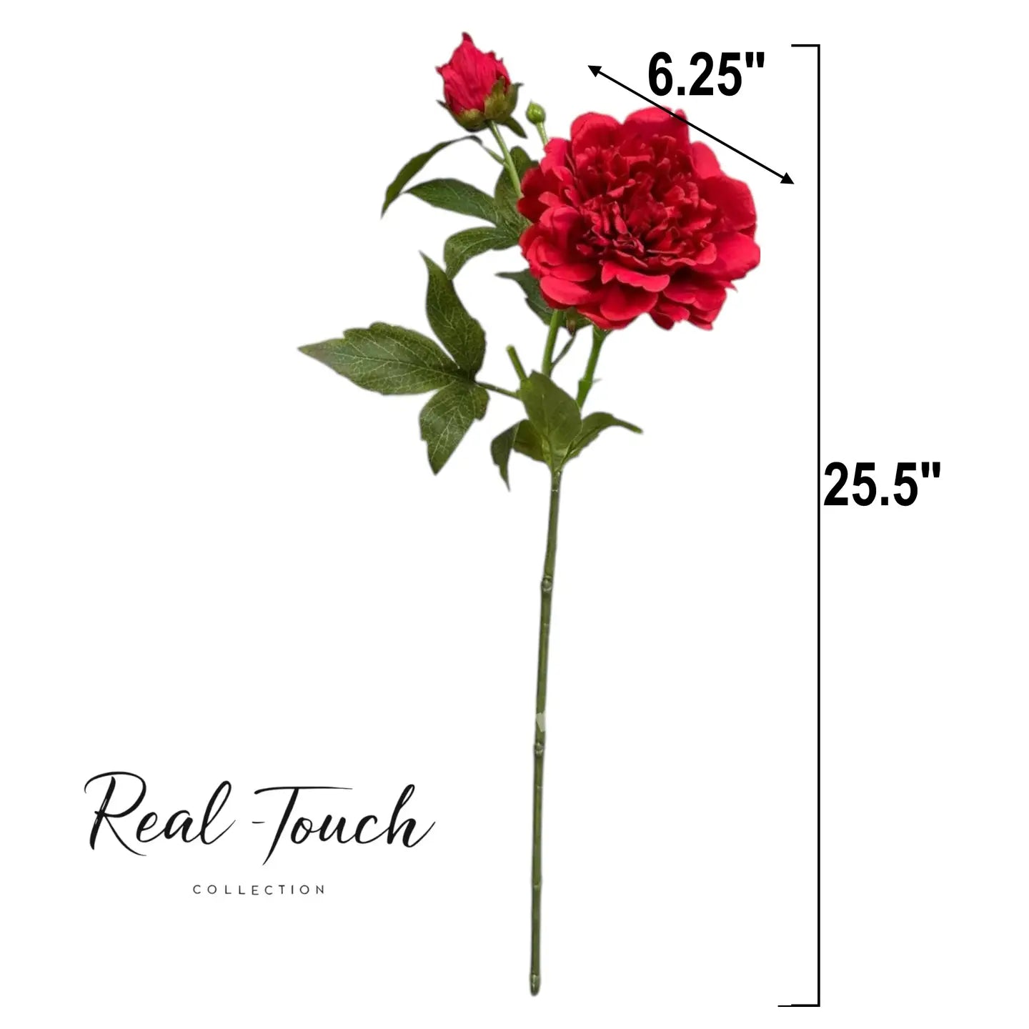 Peony Individual Stem