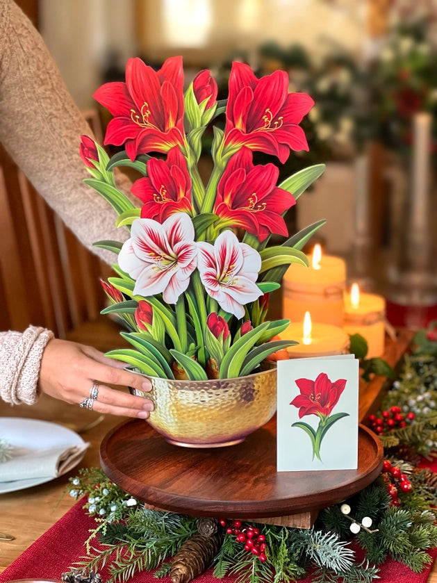 Scarlet Amaryllis Pop Up Greeting Card