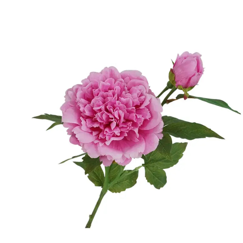 Peony Individual Stem