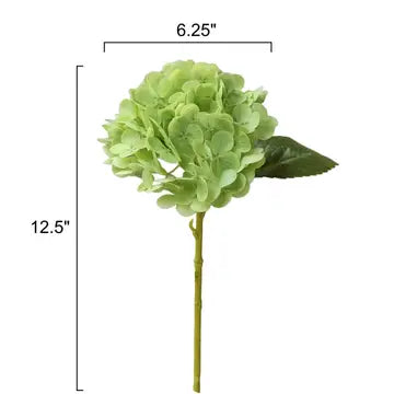 Hydrangeas - Lt Green