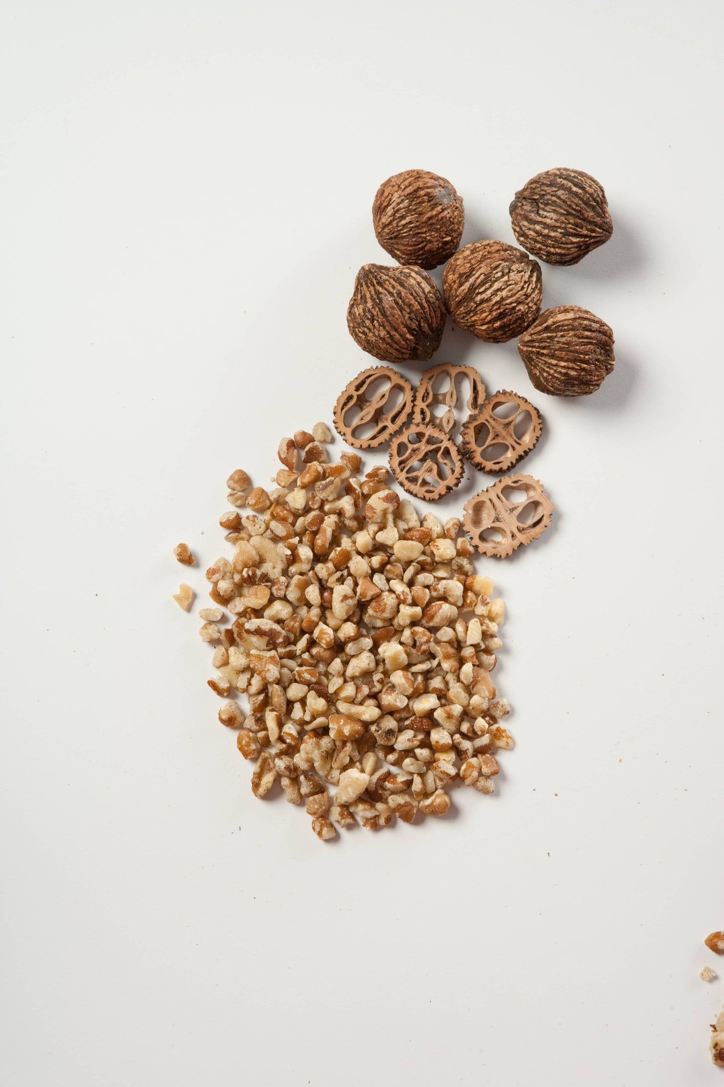 Fancy Large Black Walnuts (8oz)