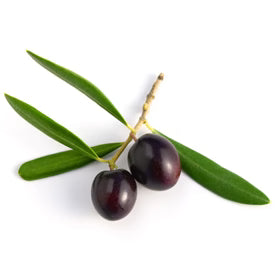 Arbequina Extra Virgin Olive Oil - 375 mL