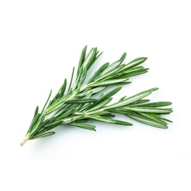 Rosemary Olive Oil - 5 Ounces