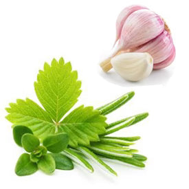 Tuscan Herb Extra Virgin Olive Oil - 200 mL