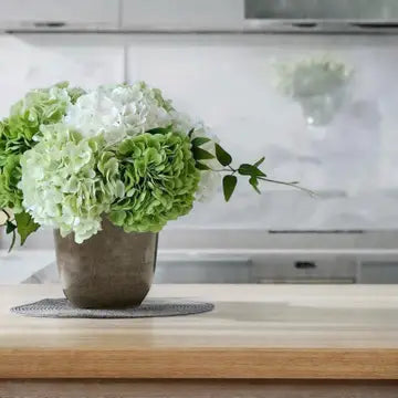 Hydrangeas - Lt Green