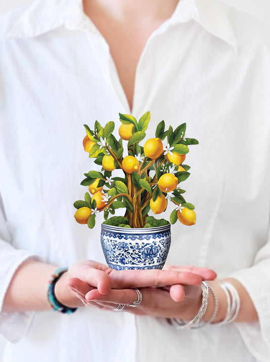 Mini Lemon Blossom Tree Pop-up Greeting Card