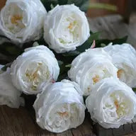Cabbage Rose Individual Stem