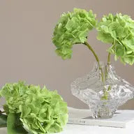 Hydrangeas - Lt Green