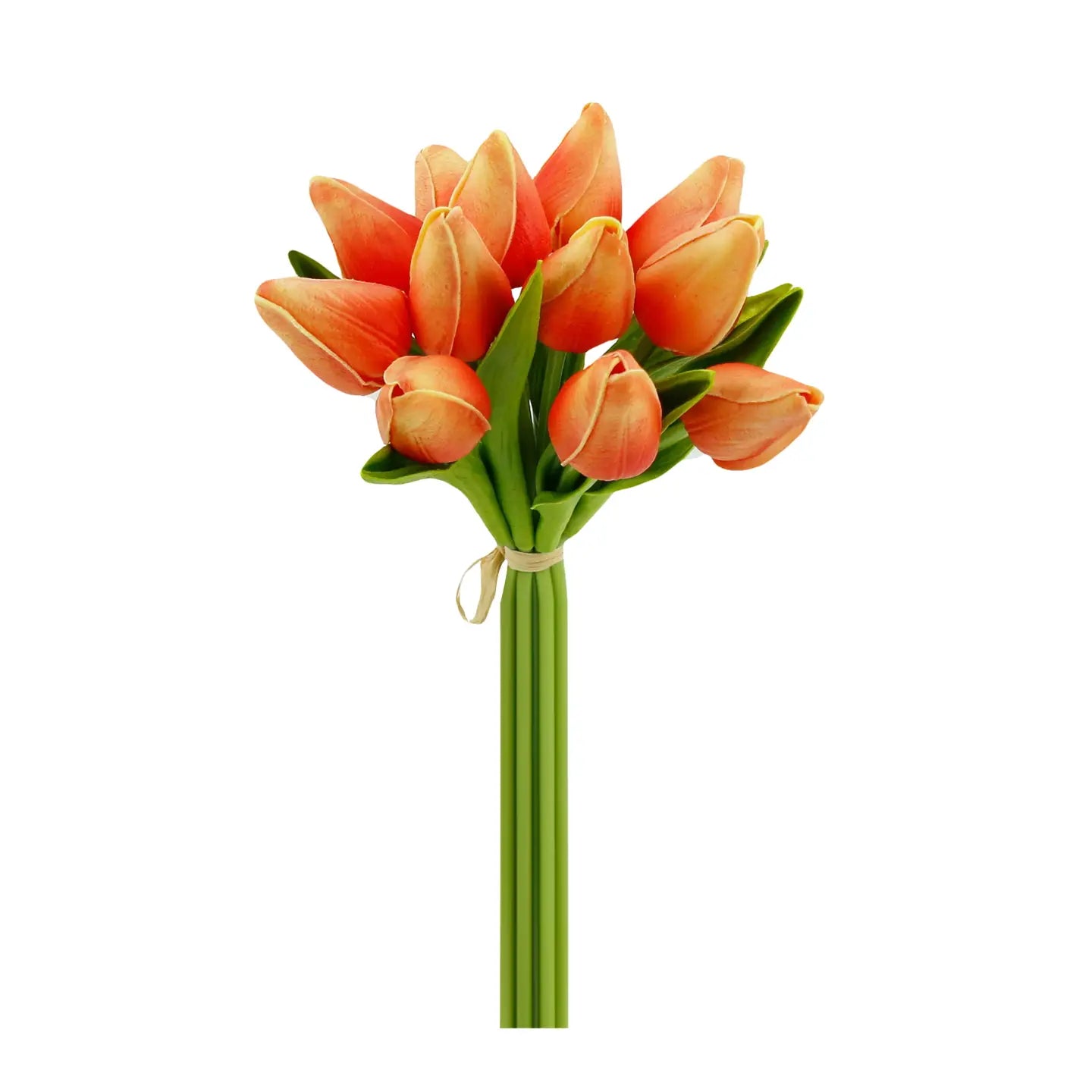 10.5 Inch Tulip Bundle