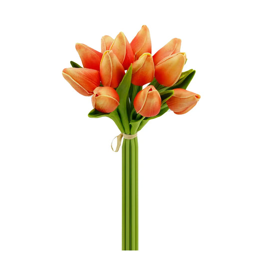 10.5 Inch Tulip Bundle
