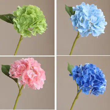 Hydrangeas - Pink